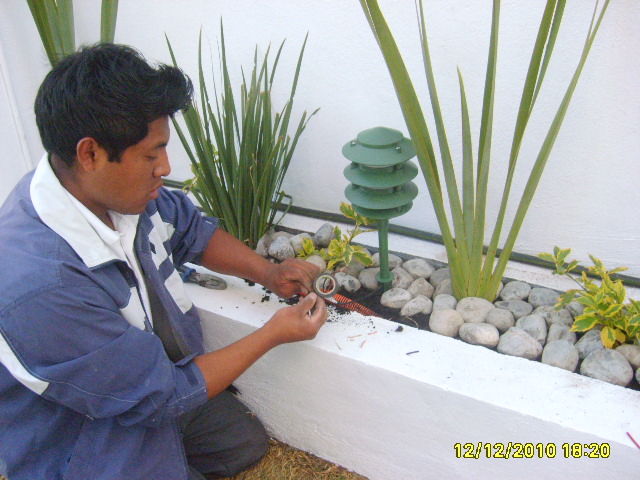 Sin Nombre